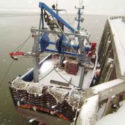 Chalutier au port janvier 2013