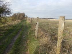 Le chemin du pendu a