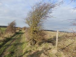 Le chemin du pendu b